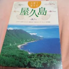 Item thumbnail for item 03aad590-e92a-4fb1-8282-a217730e3cf4