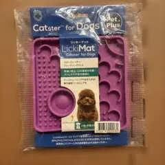 Item thumbnail for item b6e43158-df09-4a64-b4fb-d4b8caa72567