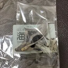 海遊館　はしもとみおの彫刻　イトマキエイ