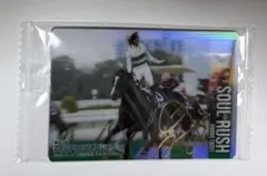 ソウルラッシュ サラブレッドホースコレクション サイン入り