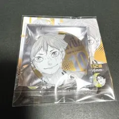 ハイキュー　デコレクション缶バッジ　第3弾 日向翔陽