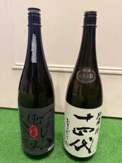 Item thumbnail for item 72cd88bc-419b-424c-b5cb-9556cc07a5fb