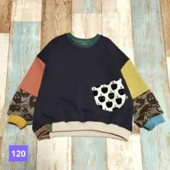 120★モンスターたち★ゆるポケT