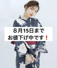 Dita 【凪の藤ながれ】1人で着られる浴衣5点セット 和歌山染工日本染め