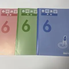 2026年最新】四谷大塚春期講習6年の人気アイテム - メルカリ