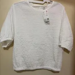 Item thumbnail for item 2b81726b-842c-4b29-83eb-ab2d5fe336ba