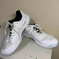 Item thumbnail for item 39091121-b7e6-4ed2-bcee-8ef035e54be6