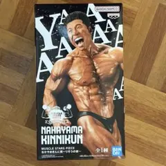 MUSCLE STARS PIECE なかやまきんに君～りそうの姿～