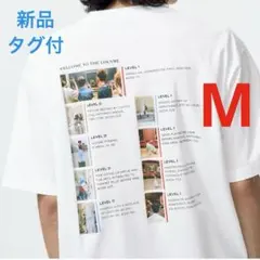 ★新品タグ付★ユニクロとルーブル美術館コラボUT MoMA好きのサムネイル