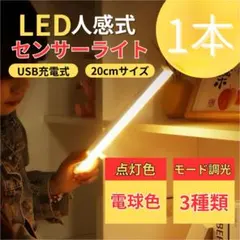 【お試し 1個】人感センサーライト 暖色 USB Type-C充電式 1967のサムネイル