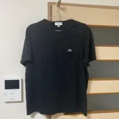 LACOSTE Tシャツ M ネイビー ワンポイント ロゴ 美品