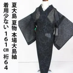 2026年最新】夏大島紬の人気アイテム - メルカリ