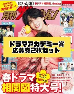 月刊ザテレビジョン 5月号 ドラマアカデミー賞 応募券2枚セット