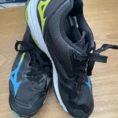 Item thumbnail for item a5410e9f-777b-49b5-964a-b386f2271039