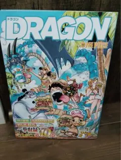 ONE PIECE DRAGON COLOR WALK 10 画集