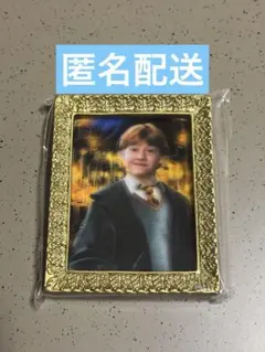 ハリー・ポッター 肖像画マグネットコレクション