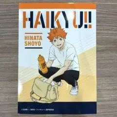 ハイキュー!! ピクチャーズコレクション日向翔陽 JF2026限定　エンスカイ