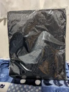 ホロライブ 沙花叉クロヱ 沙花叉とびしょ濡れ水族館 レインポンチョ