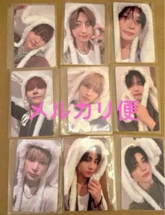 &TEAM 雪明かり ふわふわアニマル トレカ 動物 weverse コンプ