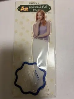 TWICE ツウィ アクスタ