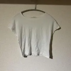 ZARA ホワイト クロップド丈 Tシャツ L