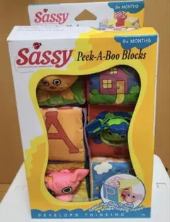 Sassy Peek-A-Boo Blocks 　知育おもちゃ　美品のサムネイル