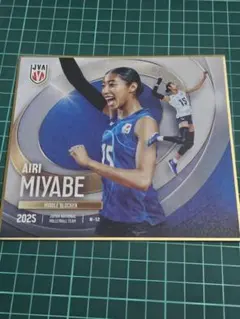 Item thumbnail for item 3baa4e64-5916-4681-85bc-48017860d623