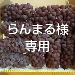 デラウェア　１kg 専用
