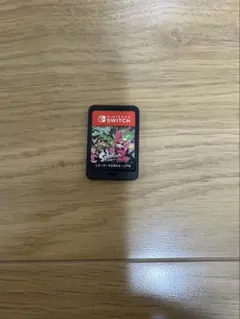 任天堂Switch スプラトゥーン2 ソフト　どうぶつの森　ゲーム　ケース