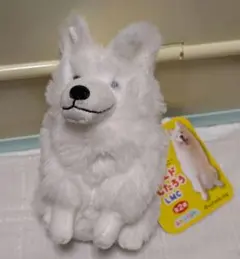 新品　サモエド りんたろう　LMC マスコット