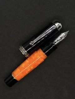 新品未使用 Stipula I Castoni Tigre 万年筆 M - メルカリ