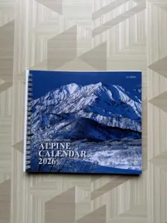 Item thumbnail for item 90d656c8-822a-4442-860a-eebe826a931f