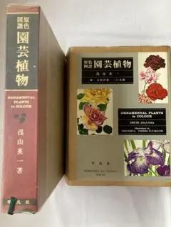 Item thumbnail for item 6422ef3d-c3df-46ae-ab1a-45c71542789e