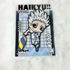 ハイキュー 星海光来 カード トレカ