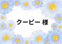 クーピー　プロフ説明文確認様 リクエスト 2点 まとめ商品