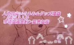 人気IPぬいぐるみ＆グッズ福袋 3点以上入り
