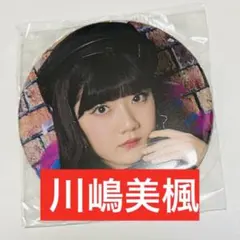 Item thumbnail for item 7d8a9f40-d37c-4600-afda-1e114e399563