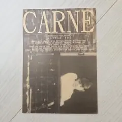 ギャスパー・ノエ監督作品 カルネ★希少・廃盤DVD★ 2025年最新】カルネ 映画の人気アイテム - メルカリ