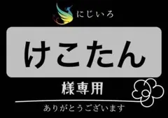 けこたん様専用