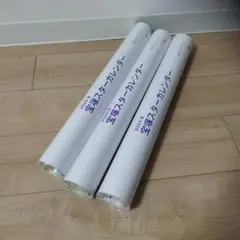 Item thumbnail for item e66409bf-9490-48d3-93f8-a0f797f727c3