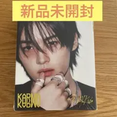 StrayKids リノKarma アコーディオン盤 新品未開封