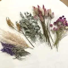 ドライフラワーセット⑨