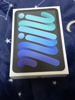 iPad mini 128GB スペースグレイ