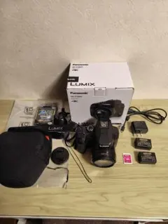 LUMIX DC-FZ85D 純正バッテリー2個 SD128GBセット LUMIX DC-FZ85D 純正バッテリー2個 SD128GB - メルカリ