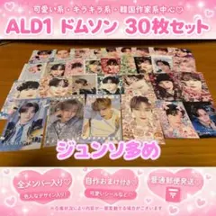 ALD1 ドムソン 30枚セット♡（ジュンソ多め）