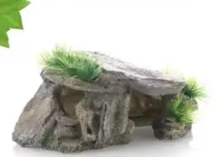 Item thumbnail for item b084d3f0-ddd9-45c8-af3d-445d830cd706