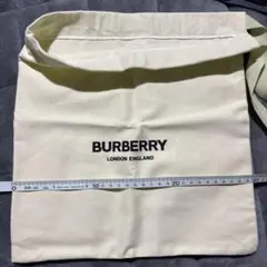 Item thumbnail for item 72254295-7fbe-4215-b386-947a32f5d975