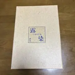 ノリタケ　乃りたけ　酒器揃（徳利、お猪口）　露染