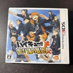 3DS ハイキュー!! 繋げ!頂の景色!! 通常版