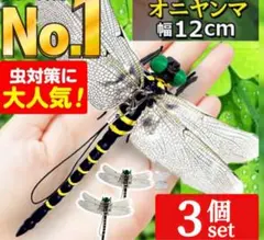 オニヤンマ科 標本 Ar オニヤンマ科 標本 Ar オニヤンマ 立体標本 - メルカリ